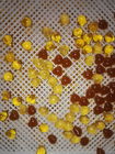 Les plateaux de séchage en plastique de médecine de catégorie comestible avec des trous peuvent empiler, séchage efficace