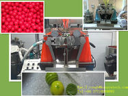 Machine matérielle halal d'encapsulation de Vgel de capsule de Softgel de 7 pouces pour le pétrole et la pâte liquide