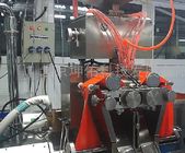Machine automatique d'encapsulation de Softgel de haute précision pour 8#OV 43470 les capsules/H