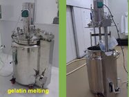 Système de pompe à vide automatique de réservoir de fonte de gélatine de capsule d'acier inoxydable Softgel