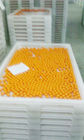 Anti matériel en plastique élevé de pe de plateaux de séchage de Temprature pour sécher la cuisson de congélation