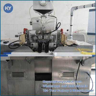 Qualité 3 Kw Small Batch Soft Capsule Making Machine For Laboratory Usine