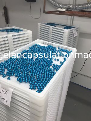 Machine à faible bruit d'encapsulation de Paintball de contrôle de PLC avec l'écran tactile