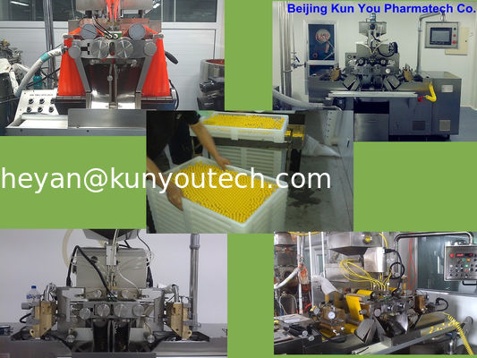 Machine de remplissage automatique d'encapsulation de machine d'encapsulation de Ss316 Vgel