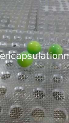 La nourriture automatique/machine de remplissage pharmaceutique d'encapsulation de Paintball avec 6&quot; meurent moule de petit pain
