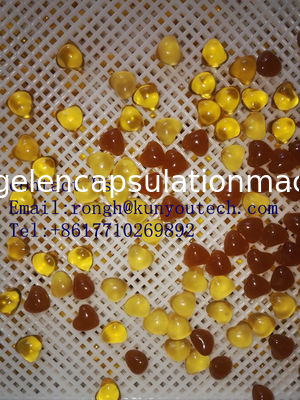 PPE de plastique Tray For Drying Environmental Non-Toxic de 75 * de 55 * 5cm