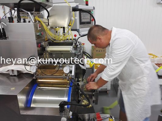 Machine de remplissage automatique de capsule pour le pétrole de nourriture-poissons, la vitamine, et le miel d'abeille