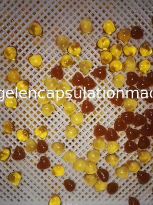 Catégorie comestible en plastique/sucrerie de capsule Tray And Trolly For Drying en métal
