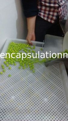Large échelle efficace élevée d'encapsulation de Softgel de Paintball de machine électrique de fabricant