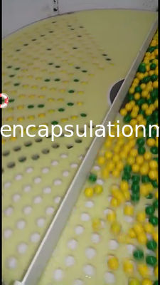 Machine à emballer de compte et d'inspection de capsule de Softgel garantie de 1 an