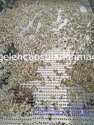 380V / machine molle d'encapsulation de la gélatine 220V sans couture avec la garantie de 1 an