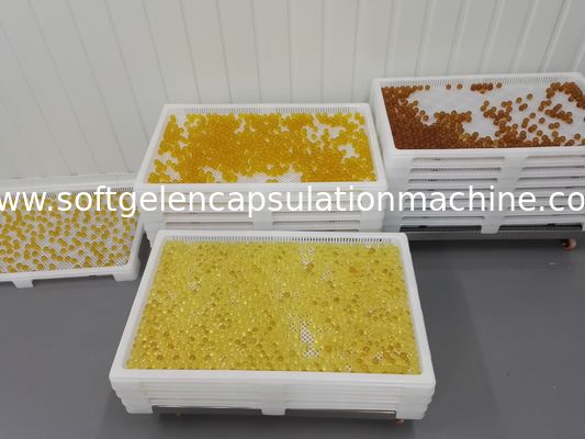 Catégorie comestible le séchage pharmaceutique de plateaux de séchage en plastique pour des capsules et le paintball de Softgel