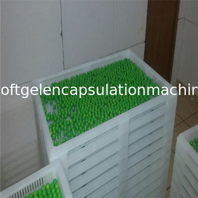 Métal de catégorie comestible/plateaux de séchage en plastique pour sécher la sucrerie de capsule