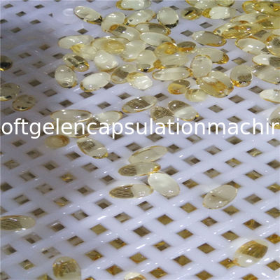 Machine automatique non animale d'encapsulation de Softgel Vgel pour 50000 - 70000 capsules/H