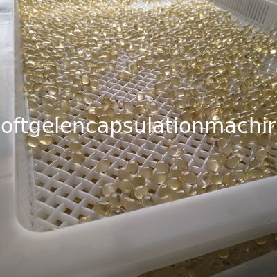 Softgel capsule la couleur adaptée aux besoins du client par incidence à hautes températures de séchage en plastique de plateaux