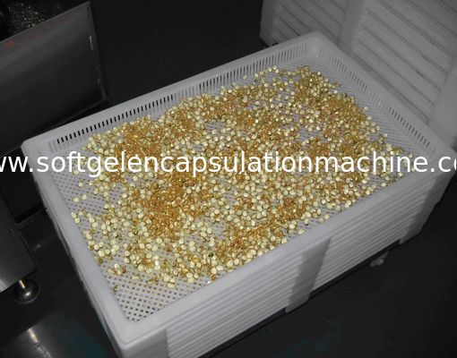Catégorie comestible en plastique/sucrerie de capsule Tray And Trolly For Drying en métal