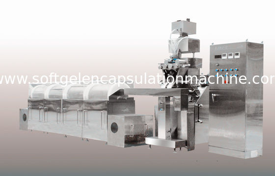 Machine molle automatique d'encapsulation de gélatine forme ovale/oblongue avec le compte