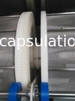 Machine automatique d'encapsulation de Paintball de championnat 0,5 pouces pour le jeu de Cs
