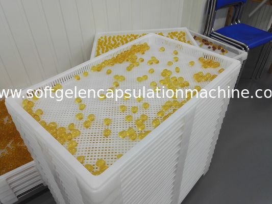 Plateaux de séchage en plastique de médecine pharmaceutique avec des trous pour le bon séchage