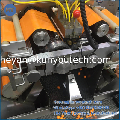 Machine de fabrication de capsules douces en acier inoxydable 304/316L avec 43470 capsules/heure de sortie et vitesse réglable de 0 à 5 tr/min