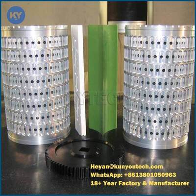 Le moule mou fait sur commande de capsule/meurent le moule Ф103 X 172mm de petit pain pour pharmaceutique