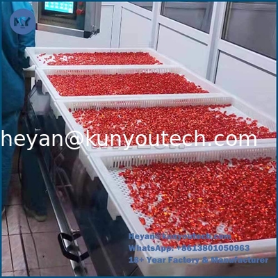 Plateau de séchage en plastique de qualité alimentaire 762x495x55 mm avec résistance de -40 à 140 degrés et structure légère pour les paintballs ou les capsules douces