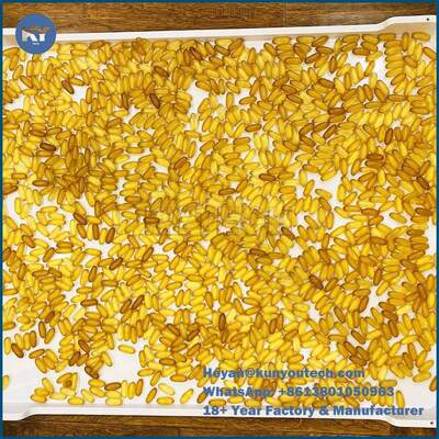 Catégorie comestible de plateaux de séchage en plastique extérieurs lisses durables de PPE 75 * 55 * 5cm