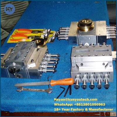 8" capsules libres animales de la machine d'encapsulation de Softgel 40000 - 50000/H avec l'imprimante