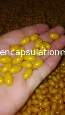 Le moule mou de capsule alliage en aluminium/en laiton meurent petit pain sonnant 80 * 100mm ISO9001