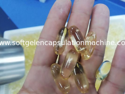 Machine molle d'encapsulation de gélatine d'huile de Canabis pour des entreprises pharmaceutiques