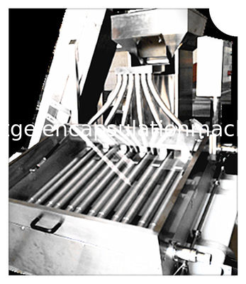 Matériel halal de la machine Ss316 d'encapsulation de Softgel de gel pour le remplissage d'huile de Canabis