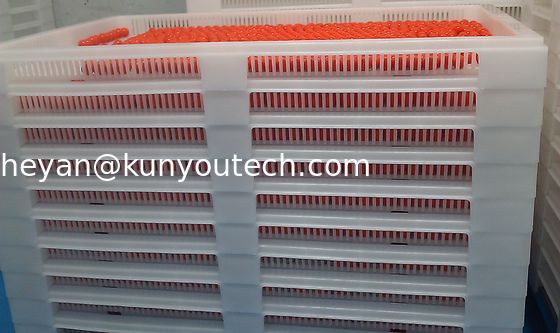 Plateaux en plastique empilables blancs de catégorie comestible/plateau de refroidissement 762*495*55mm