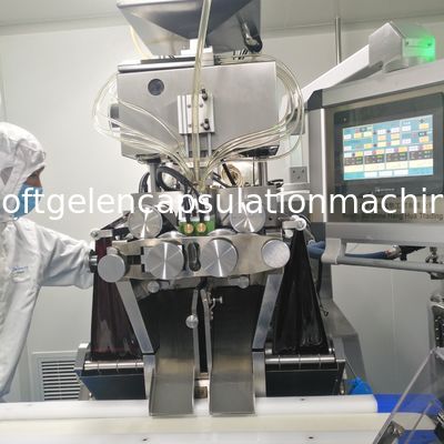 7 pouces meurent machine d'encapsulation de Softgel de petit pain pour l'huile de Cbd garantie de 1 an