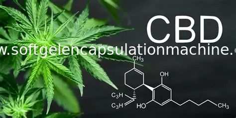 Machine d'encapsulation de capsule de Softgel d'huile de CBD avec le capteur inférieur de RDT approuvé par le FDA