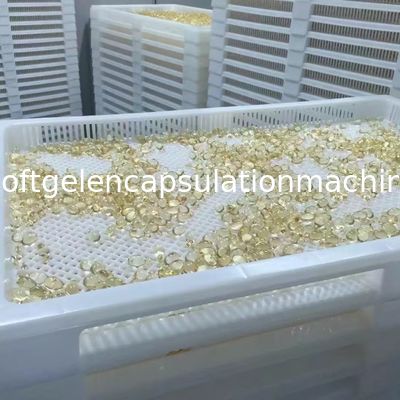 Type chaîne du petit pain S403 de production automatique de capsule de machine molle de Paintball petit pain de matrice de 4 pouces