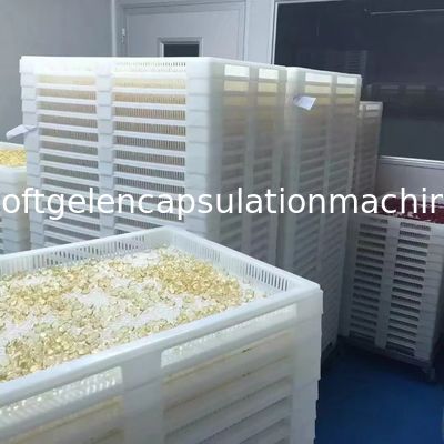 Plateaux de séchage en plastique de Paintball