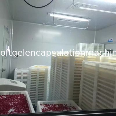 Matériel mou de machine de la machine SS316 de capsule de gel d'industrie pharmaceutique