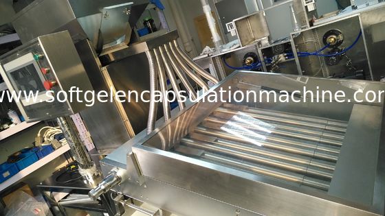 machine pharmaceutique de capsule de Softgel de 10 pouces pour l'huile de poisson Softgel 120000 PCs/H