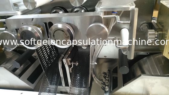 Les gélules S403 molles capsulent doucement faire la machine AVEC le convoyer en acier de Stinless