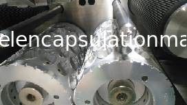 Les moules de pièces de cale d'injection/de machine de remplissage capsule de Softgel meurent cale d'outillage de petit pain