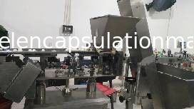 Machine de conditionnement multi de bouteille de plat de vibration de machine à emballer de compte et de capsule de Tablette