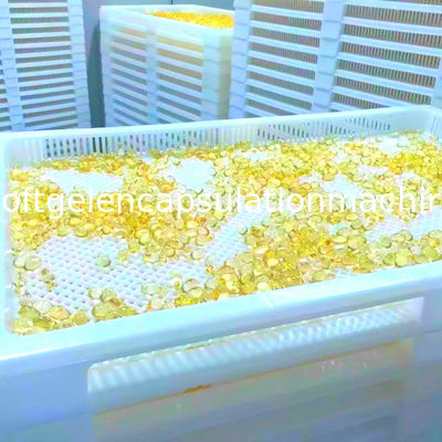 Petite machine d'encapsulation de l'huile de poisson de début 12000pcs/H Softgel