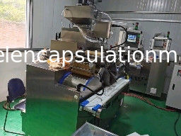 Machine d'encapsulation de gel doux à 6 tours par minute, remplissant avec de l'huile de poisson et de la pâte 120000 pièces/heure