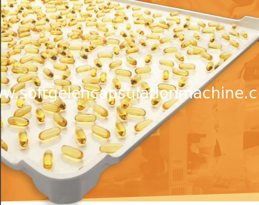 Plateaux de séchage en plastique de la CE 5cm de PPE de catégorie comestible de fond plat