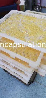 Machine molle de capsule de gélatine d'encapsulation médicale pour le remplissage d'huile de poisson