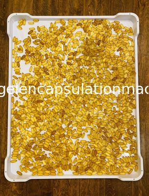 Plateaux de séchage en plastique de la CE 5cm de PPE de fond plat d'ABS de pp pour le séchage de capsule