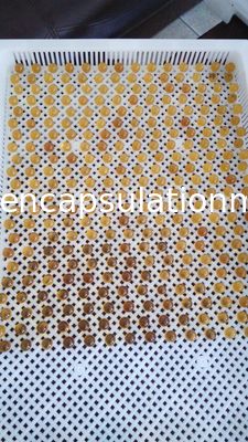 Pulsant coupant la machine sans couture de Softgel