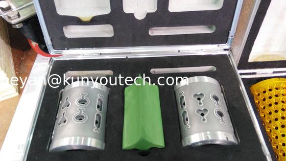 Les poissons forment le moule de usinage de capsule de petit pain de matrice 10