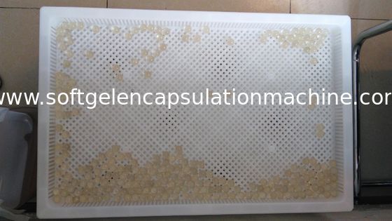 Plateaux de séchage en plastique pour sécher le Paintball