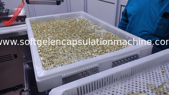 Contrôle de PLC de machine d'encapsulation du certificat 5rpm Softgel de la CE